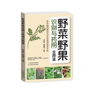 Guía ilustrada auténtica sobre verduras silvestres, frutas, identificación, usos medicinales, consumo seguro, modelo de guía para principiantes - Product Image 3