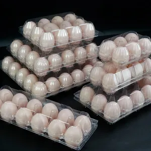 Scatola di plastica all'ingrosso per le uova 12 uova di anatra scatola di imballaggio contenitore per le uova vassoio
