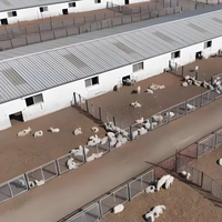 Estructura de Acero Prefabricada Ligera para Granjas Avícolas, Naves para Cría de Pollos, con Servicios de Soldadura y Corte