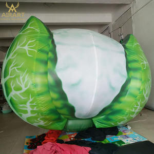 Costume de <span class=keywords><strong>carotte</strong></span> gonflable géant pour la publicité, fruits gonflables de grande taille - Product Image 4