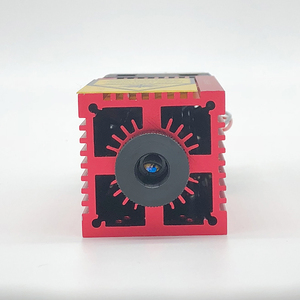 650nm 1200mW High Quality Red <strong>Laser</strong> <strong>Module</strong> High Power <strong>Laser</strong> Head <strong>Laser</strong> Equipments Parts - Product Image 5