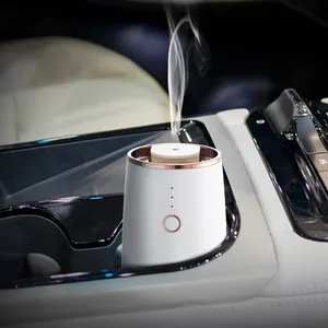 SCENTA özel koku sıvı sprey hava araba spreyi difüzör toptan Mini yenileme uçucu yağ bazlı araba hava spreyi