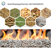 Brûleur industriel Machine bois sciure granulés biomasse gazéificateur chaudière poêle pour la cuisson 180w Kcal biomasse brûleur