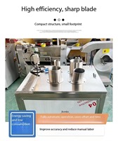 Automatische snijmachine voor fruit, aardappelen, uien en groenten/onderwaartse druk fruit- en groentesnijder