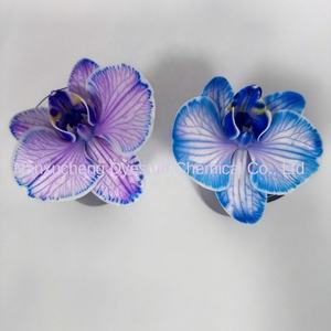 Agente Absorbente de Flores, Pigmento para Phalaenopsis, Absorción por Rizoma, Colorante Ácido Soluble en Agua de Alta Concentración, Colorante Especial - Product Image 4