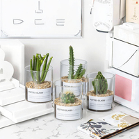 Vase moderne nordique simple en verre transparent écologique, capacité de 1 à 2 L, pot à fleurs droit, jardinage de cactus, vente en gros de bouteilles