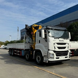 Grúa hidráulica articulada ISUZU GIGA de 25 toneladas 8x4 de fábrica china en venta - Product Image 6