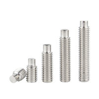 Vis de réglage à fente en acier inoxydable 18-8 SS SUS 304 316 316L A2 A4 70 80 avec pointe de chien DIN926 DIN417