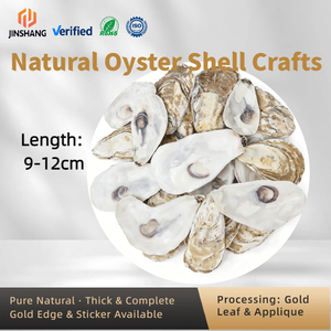 Conchiglie di Ostriche Naturali Pulite all'Ingrosso per Artigianato, Decorazioni per la Casa in Stile Costiero e Progetti Fai-da-Te, Grandi Conchiglie Marine all'Ingrosso - Product Image 1
