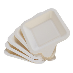Assiettes carrées jetables en pulpe de canne à sucre, biodégradables, imperméables, résistantes à l'huile, pour fêtes, lot de 5 - Product Image 5