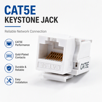 Module réseau Cat5e RJ45 UTP Keystone Jack pour plaque murale LAN 8700