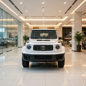Vehículos de Nueva Energía, SUV Grandes, Autos para Desplazamientos a Baja Velocidad, Viajes de Corta Distancia, Autonomía de 101-200 km, Batería de 30kWh, Motor de 50kW - Product Image 2