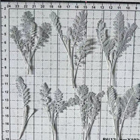 Feuilles de fleurs séchées naturelles pressées en gros pour l'artisanat DIY, feuilles séchées argentées à tiges multiples