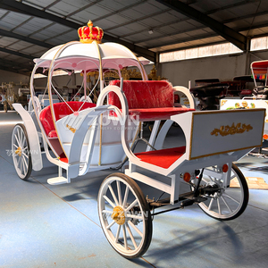 รถม้าแต่งงานสุดหรูแบบซินเดอเรลล่า พร้อมม่านกันฝนและไฟ LED - Product Image 6