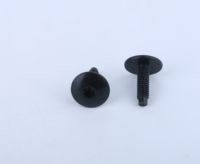 Vis métriques à tête Torx en acier au carbone de haute qualité, personnalisables, plaquées zinc noir, M2-12, grade 4.8-10.9