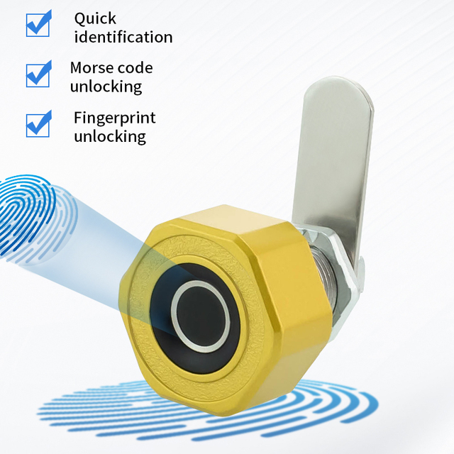 High Quality Smart Cabinet Lock with Modern Design Electric Fingerprint & Glass Door Small & Convenient App Network Access