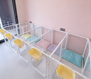 Recinto <span class=keywords><strong>per</strong></span> Gatti in ABS PET Completamente Trasparente Gabbia di Sicurezza <span class=keywords><strong>per</strong></span> Uso Interno Casa Balcone Facile Installazione <span class=keywords><strong>Recinzione</strong></span> <span class=keywords><strong>per</strong></span> Piccoli Animali - Product Image 4