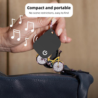 Localisateur de Clés Portefeuille GPS Anti-Perte, Autonomie de 6 Mois, Recharge Sans Fil, Compatible Systèmes IOS Android, Mondial