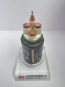 Câble <span class=keywords><strong>d</strong></span>'alimentation gainé <span class=keywords><strong>de</strong></span> <span class=keywords><strong>PVC</strong></span> blindé <span class=keywords><strong>de</strong></span> ruban <span class=keywords><strong>d</strong></span>'acier isolé par Xlpe <span class=keywords><strong>de</strong></span> noyau <span class=keywords><strong>de</strong></span> cuivre pour diverses occasions <span class=keywords><strong>de</strong></span> <span class=keywords><strong>pose</strong></span> <span class=keywords><strong>de</strong></span> porte <span class=keywords><strong>d</strong></span>'entrée/sortie - Product Image 5