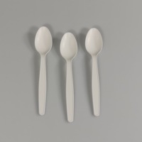 Couverts en PLA cuillère soluble, fourchette biodégradable, couverts en maïs, couverts en bioplastique, couverts de table
