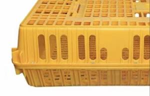 Boîte <span class=keywords><strong>de</strong></span> cage <span class=keywords><strong>de</strong></span> <span class=keywords><strong>transport</strong></span> <span class=keywords><strong>de</strong></span> poulet <span class=keywords><strong>de</strong></span> chair en plastique <span class=keywords><strong>de</strong></span> haute qualité pour animaux <span class=keywords><strong>de</strong></span> ferme boîte <span class=keywords><strong>de</strong></span> <span class=keywords><strong>transport</strong></span> <span class=keywords><strong>de</strong></span> poulet pour volailles vivantes - Product Image 6