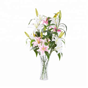 Venta al por mayor barato real tacto interior decoración de <span class=keywords><strong>la</strong></span> boda artificial lily FLORES PLANTAS rama para venta - Product Image 6