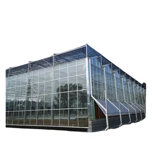 Complete glass agricultural greenhouse turnkey project with quick construction