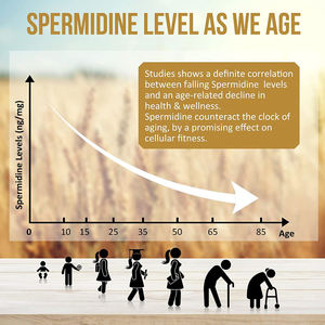 Healthife <strong>Supplement</strong> Wheat Germ Extract 500mg Spermidine Capsules