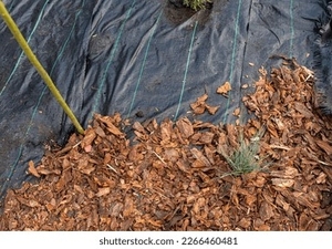 Toile <span class=keywords><strong>de</strong></span> paillage, géotextile agricole en plastique tissé, toile anti-mauvaises herbes en PP noir, fourniture directe usine - Product Image 6