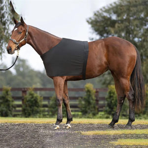 Chaleco protector para hombros y cuello de caballo, almohadillas de alta elasticidad, forro cómodo y resistente a los arañazos para caballos Sml - Product Image 2