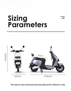 Motocicleta Eléctrica Profesional al por Mayor, 2000W, 60V, para Adultos, 45 Millas de Autonomía, Triciclo - Product Image 2
