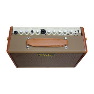 Amplificador de <span class=keywords><strong>Guitarra</strong></span> Portátil Multifunción <span class=keywords><strong>BM</strong></span>-35 Ziko con Altavoz de 35 Vatios - Product Image 3