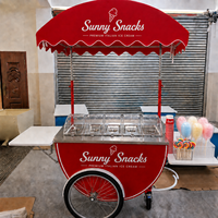 Chariot de présentation mobile pliable en acier inoxydable pour glaces et snacks, avec auvent, idéal pour événements extérieurs – Vente directe usine