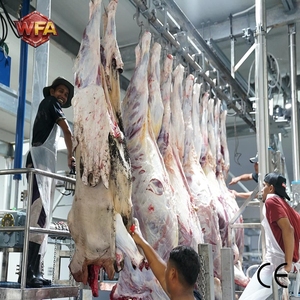 เครื่องเชือดโคเชิงพาณิชย์สำหรับงานหนัก กำลังการผลิต 50-200 ตัว/วัน |   อุปกรณ์แปรรูปเนื้อวัวอัตโนมัติสำหรับโรงงานแปรรูปเนื้อสัตว์ - Product Image 1