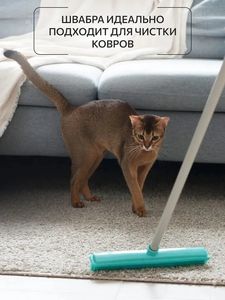 Balai à poils d'animaux en caoutchouc pour intérieur, avec raclette, brosse portable pour enlever les peluches et les poils - Product Image 5