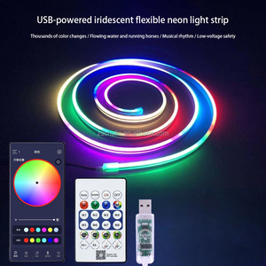 5V Smart APP Control <strong>USB</strong> RGBIC Rope <strong>Strip</strong> Flex LED Neon <strong>Strip</strong> <strong>Lights</strong> Silicone Body IP66 Waterproof Neon <strong>Strip</strong> for Home - Product Image 2
