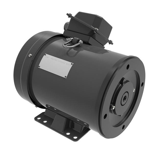 Totally Enclosed Nema 6.5HP 3-phase Asynchronous Motor