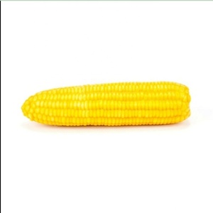 Maïs artificiel sur <span class=keywords><strong>le</strong></span> Cob-faux accessoires de légumes <span class=keywords><strong>en</strong></span> plastique décoratifs - Product Image 3