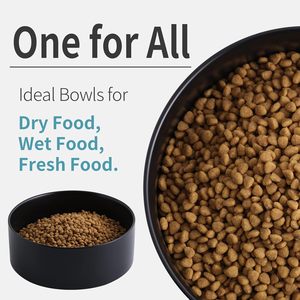 Bol pour animaux de compagnie noir mignon et moderne personnalisé Bols pour chien surélevés en bois de <span class=keywords><strong>porcelaine</strong></span> Bol pour chien en céramique et bois dégradés avec support - Product Image 4