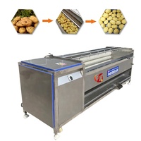 Eplucheuse automatique de fruits et légumes pour restaurants Epluchures Pommes de terre Manioc Légumes Eau Blé Maïs