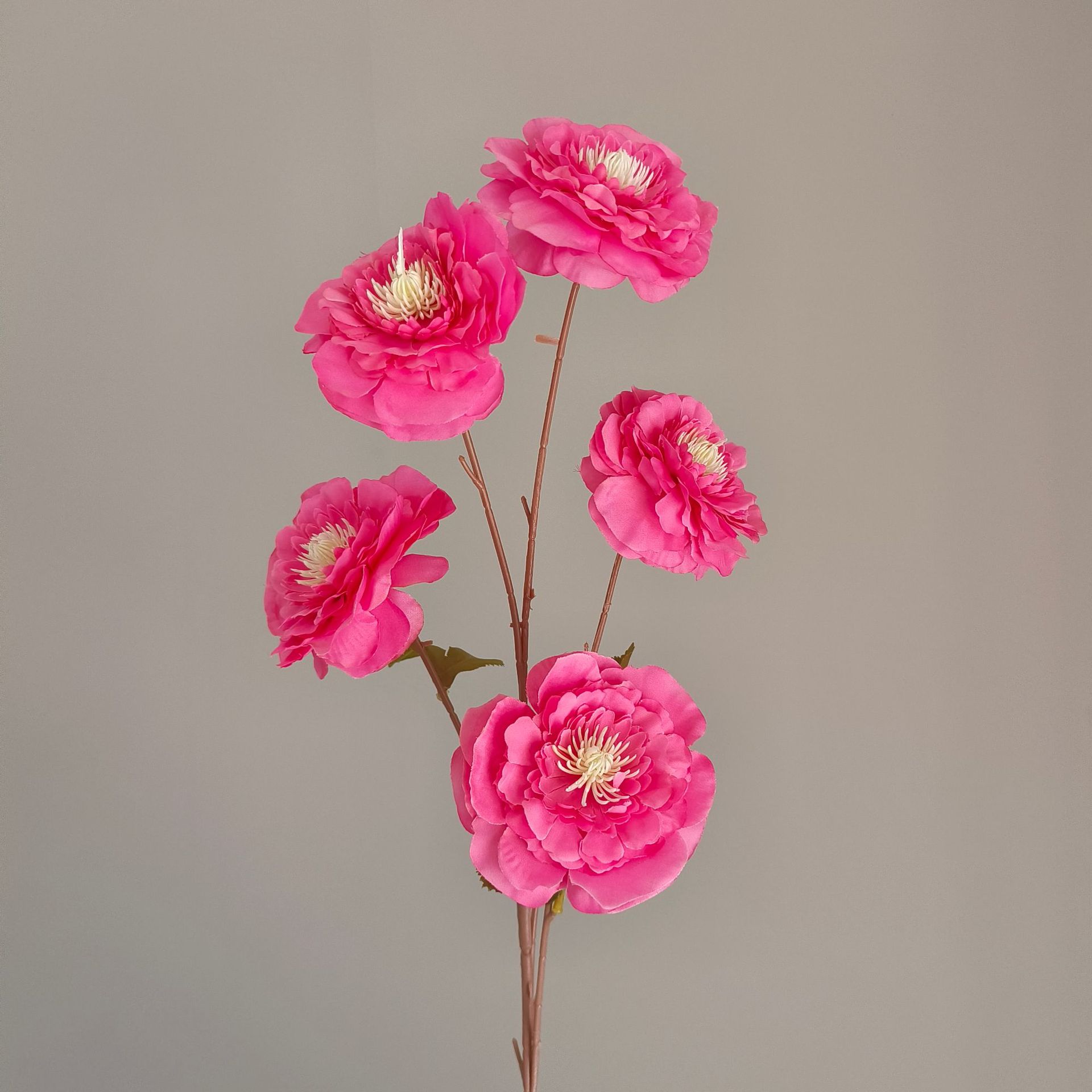 3#