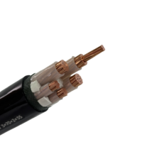 Cable de alimentación de CA de PVC de producto personalizado, cable de bajo voltaje de polietileno reticulado, producto de