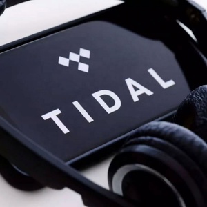 บัญชีสมาชิก Tidal Premium Tidal Music Tidal Hifi Plus ระยะเวลา 6 เดือน - Product Image 4