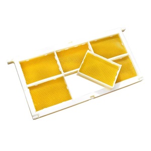 Herramientas de apicultura de tamaño completo Langstroth, marco de plástico para colmena, seis marcos, nido, caja de miel, peine de plástico, marco de casetes de miel - Product Image 3