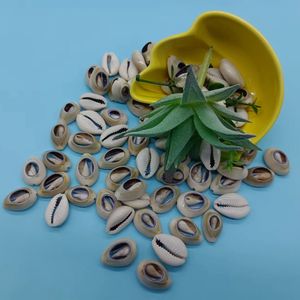 Sieraden Accessoires Top Cut Porceleinslak Conch Zeeschelp Mode Diy Oceaan Kettingen Shell - Product Image 3