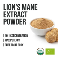 Extrait concentré de Crinière de lion, Beta-D-Glucane 20%, Biologique USDA, Extraits à l'eau chaude, Santé cérébrale, Marque privée OEM