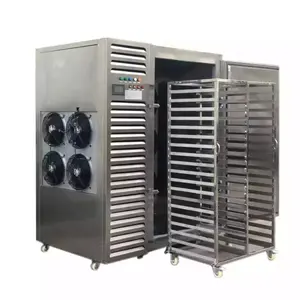 Otomatik dondurma hızlı dondurma makinesi endüstriyel Iqf tünel hızlı dondurucu otomatik patlama flaş dondurma ekipmanları fiyat satılık