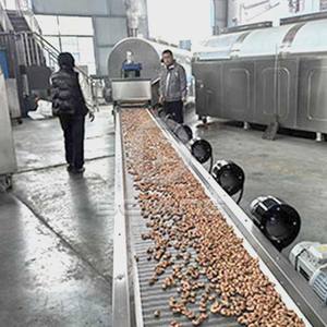 Ligne de production industrielle de torréfaction de graines de tournesol, ligne de traitement commerciale de la torréfaction des graines et des céréales - Product Image 3