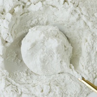 Poudre de Gomme de Guar à Haute Viscosité en Gros, Épaississant Alimentaire Naturel, Fourniture en Vrac Soluble dans l'Eau