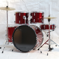5 Piece Drum Set for Beginners Adult Full Size Drum Kit with 2 Cymbals Throne & Pedals Professional Percussion Instrument